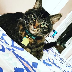 Meet your Posher, Mia